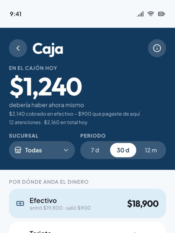 Pantalla de caja de Stdio con el dinero del día y cómo se pagó.
